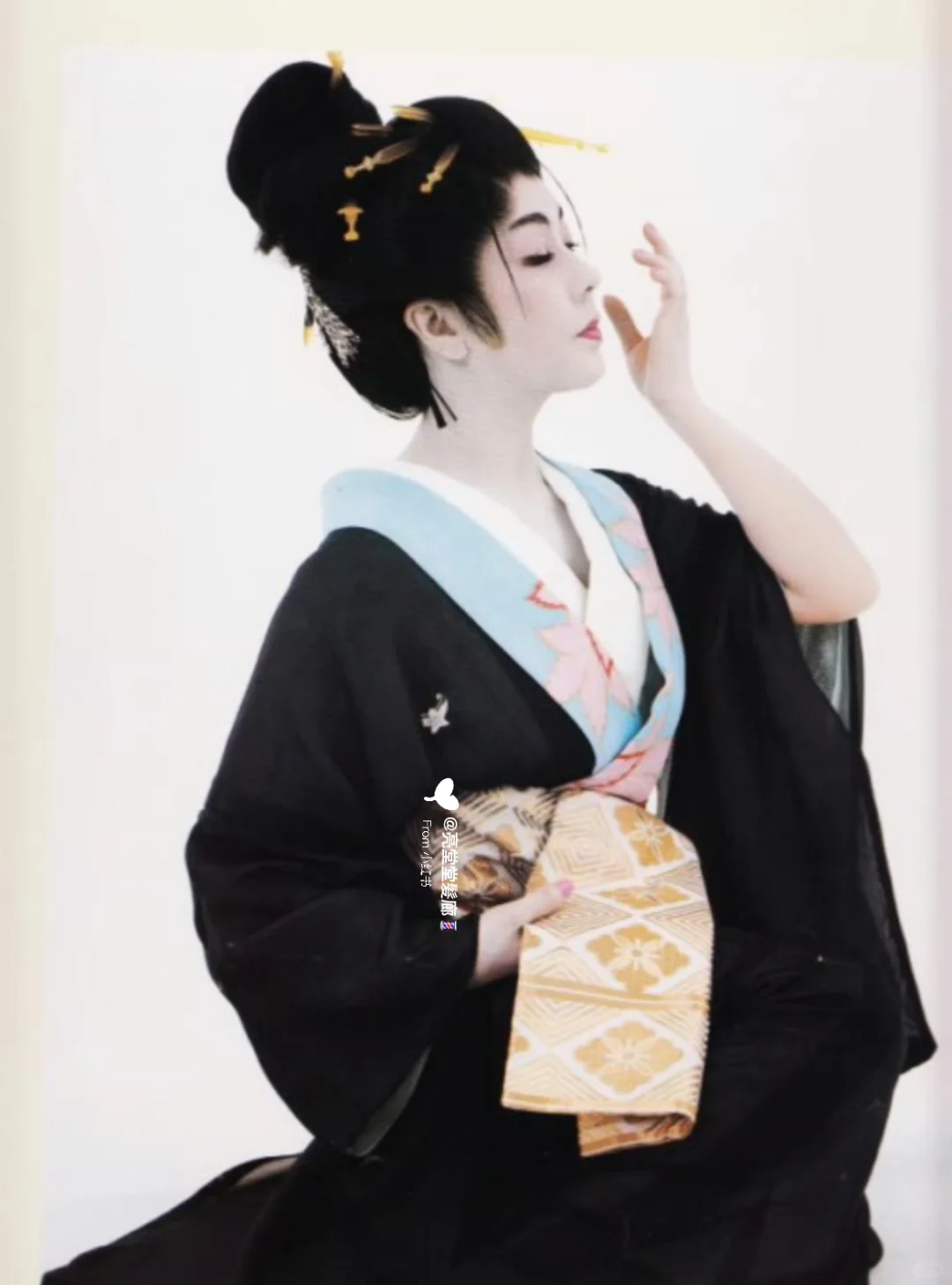 浮世绘美人🍁 | 星野小麿