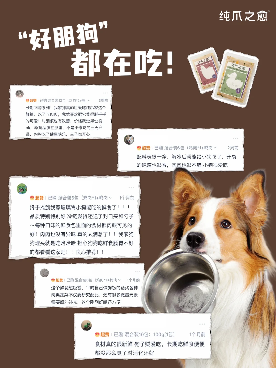 纯爪之愈店铺“新鲜”入驻，尝鲜价太诱人！