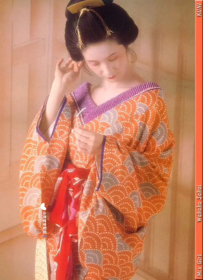 浮世绘美人🍁 | 星野小麿