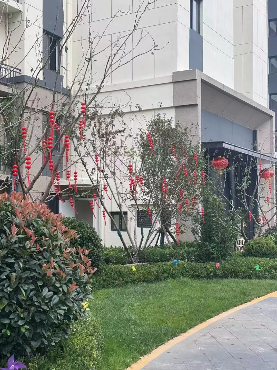 青岛市北/自家房子出售