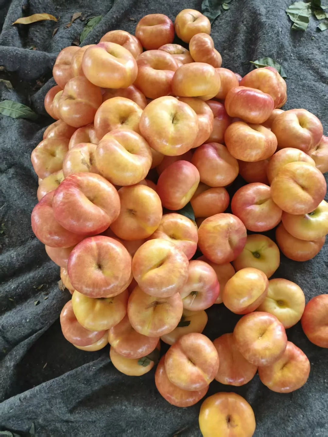 这么诱人的🍑我还没吃上一口