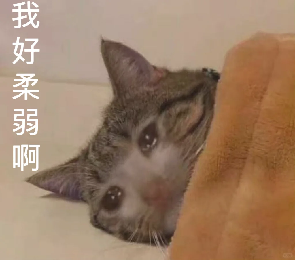 女朋友总是调戏我怎么办啊……
