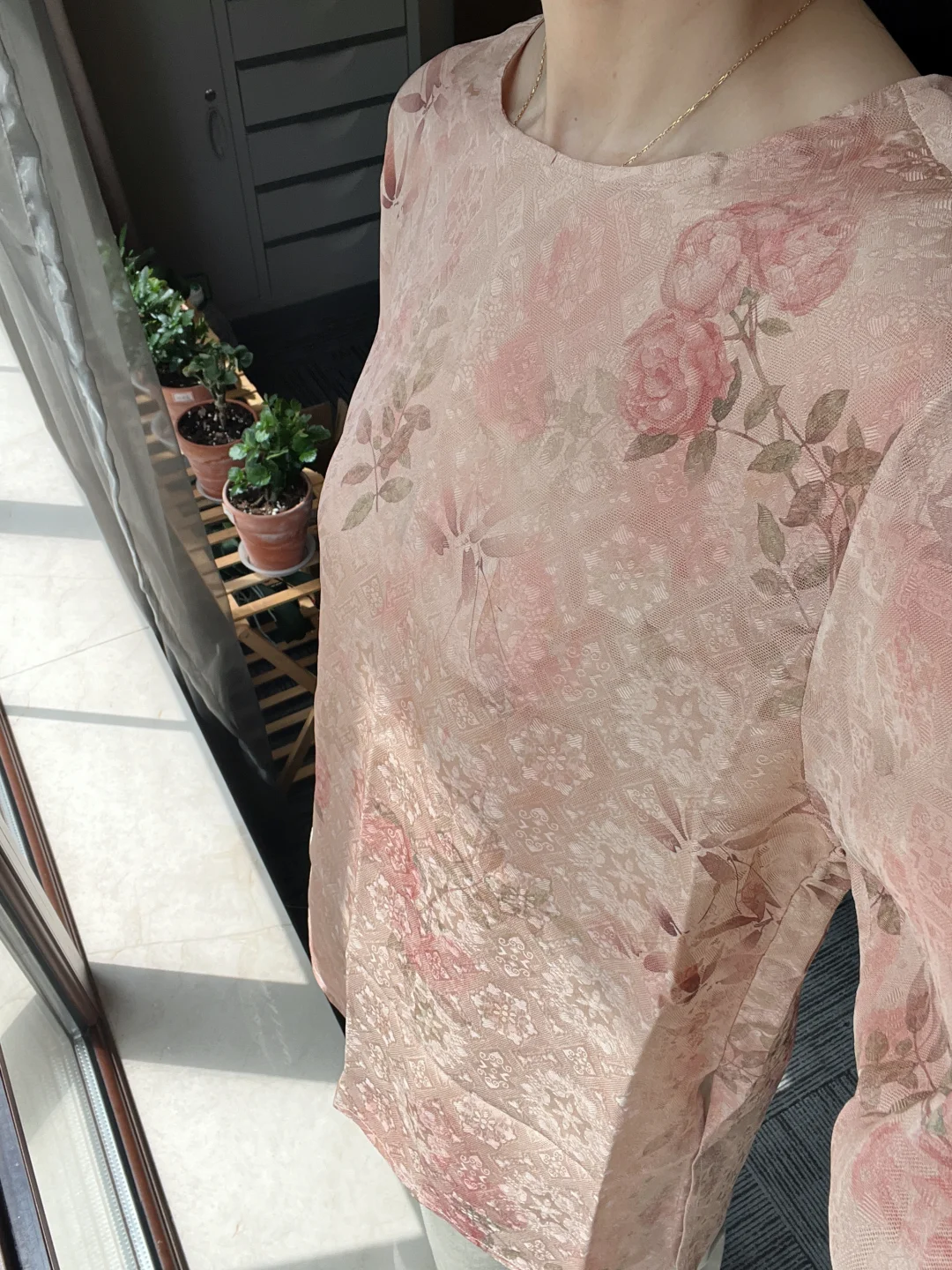终究是驾驭不了你🌹娇艳的月季