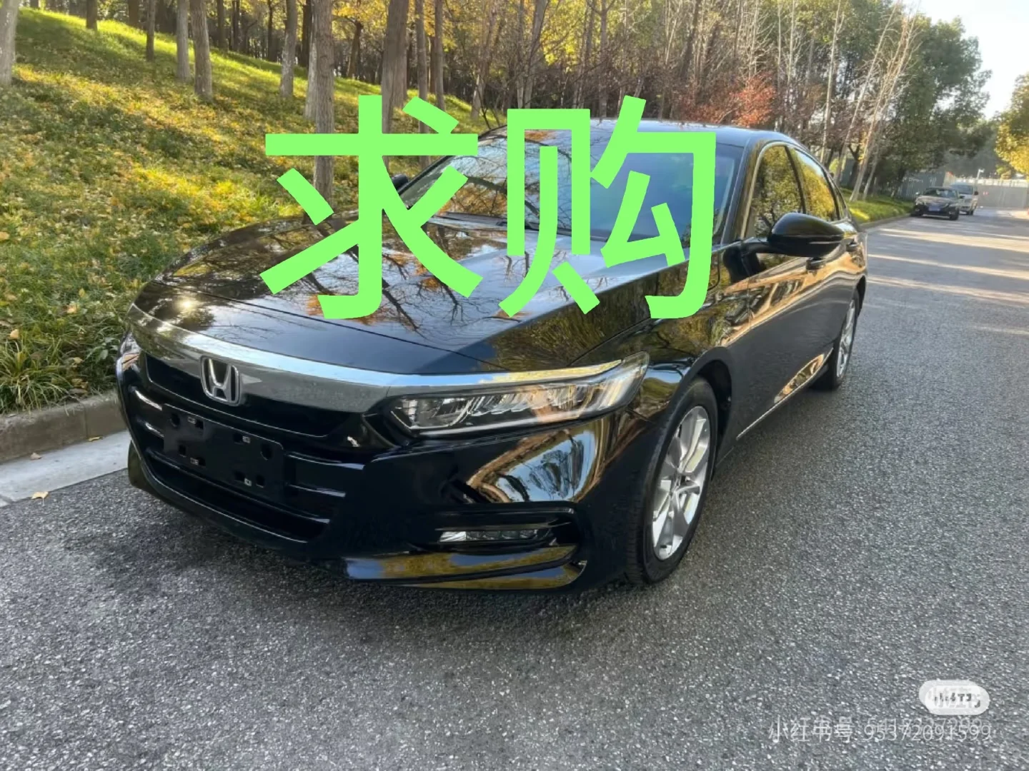 10代雅阁求购