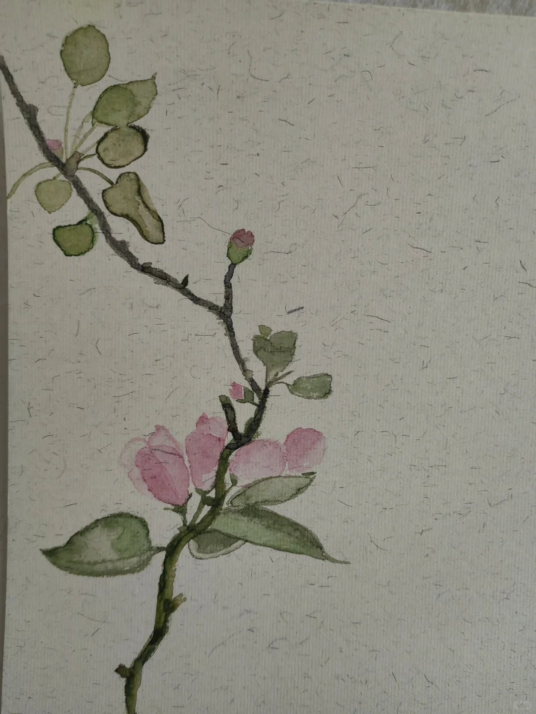 娇艳 娇柔
