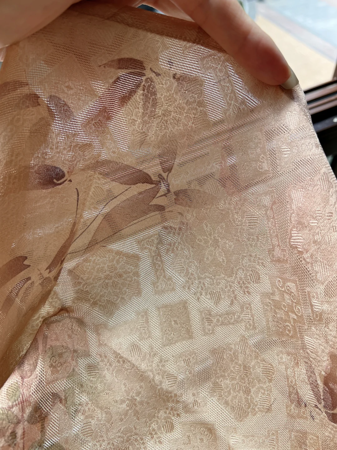 终究是驾驭不了你🌹娇艳的月季