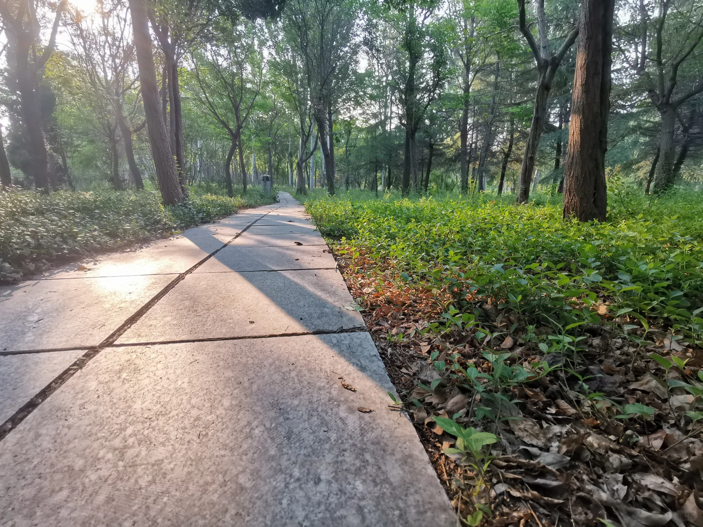 生活从来不缺少美