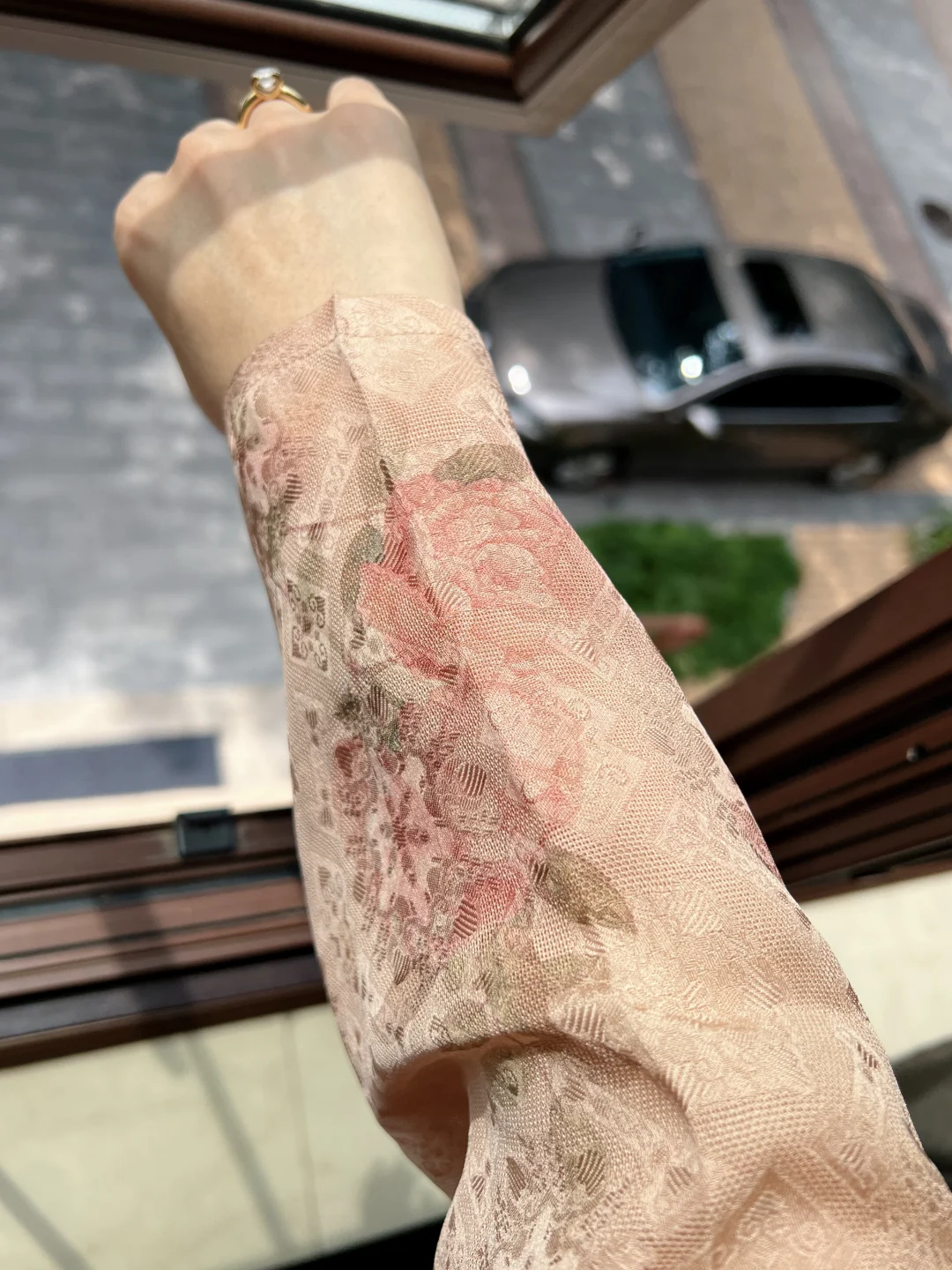 终究是驾驭不了你🌹娇艳的月季