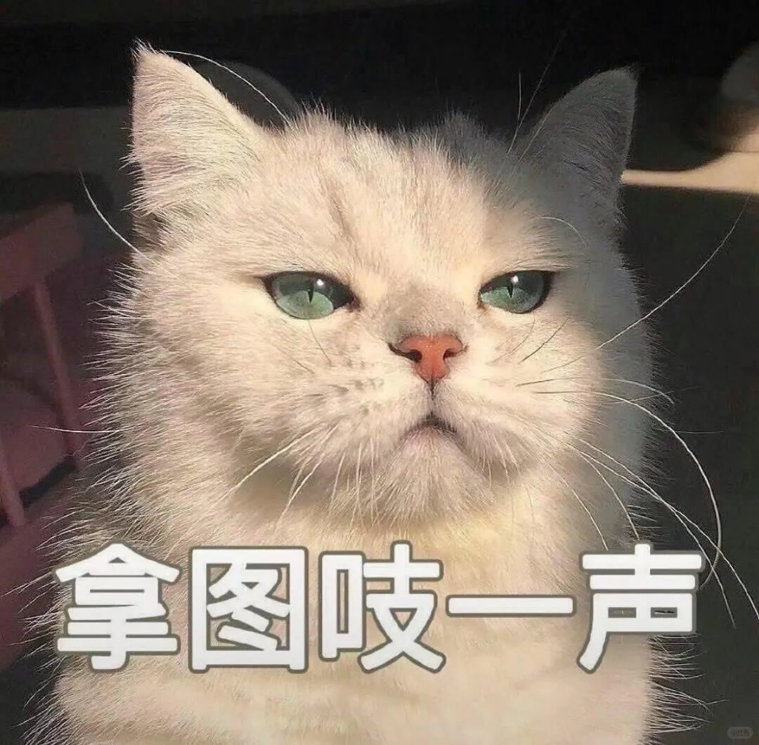 你会喜欢的气质女生头像