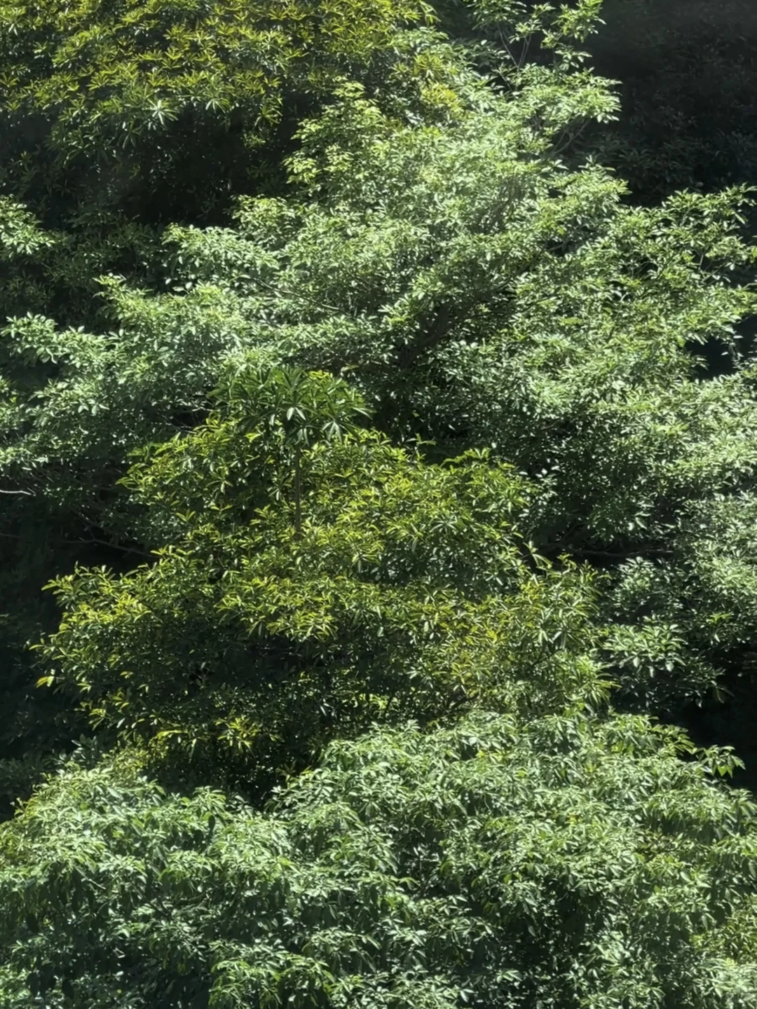 因为窗景买房的意义不就在这一刻吗？