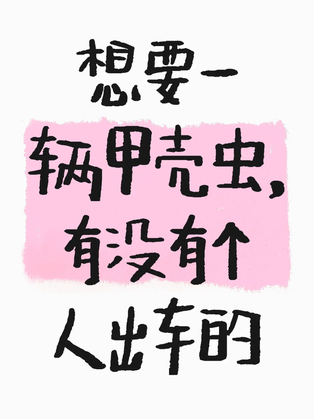 甲壳虫