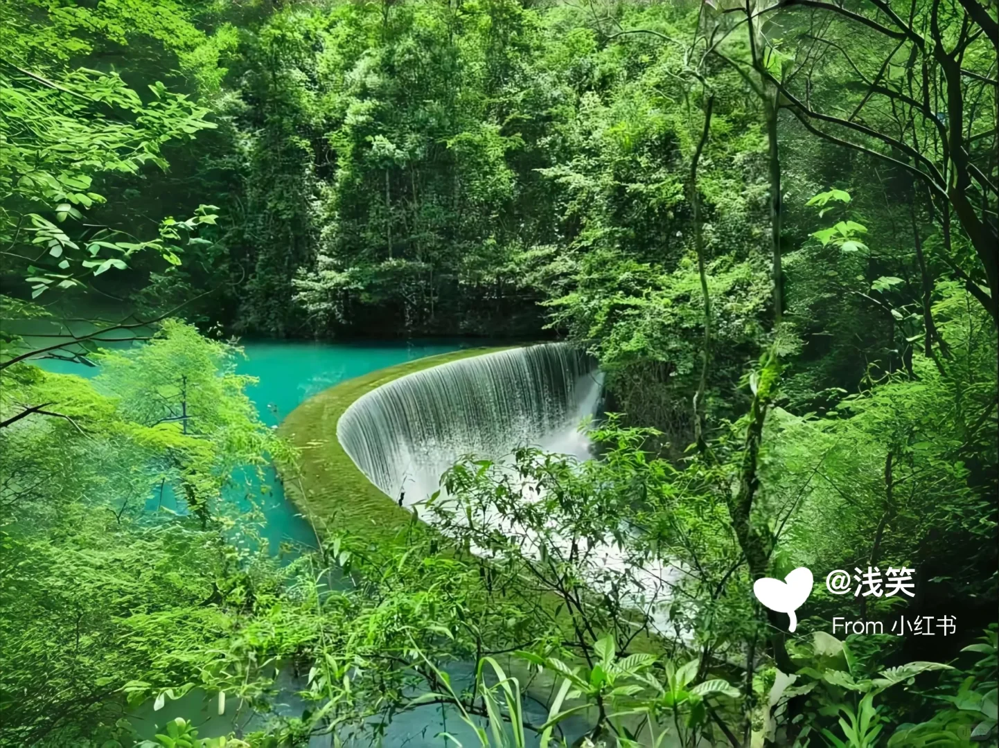 雪山予你一场夏日清凉，平板壁纸