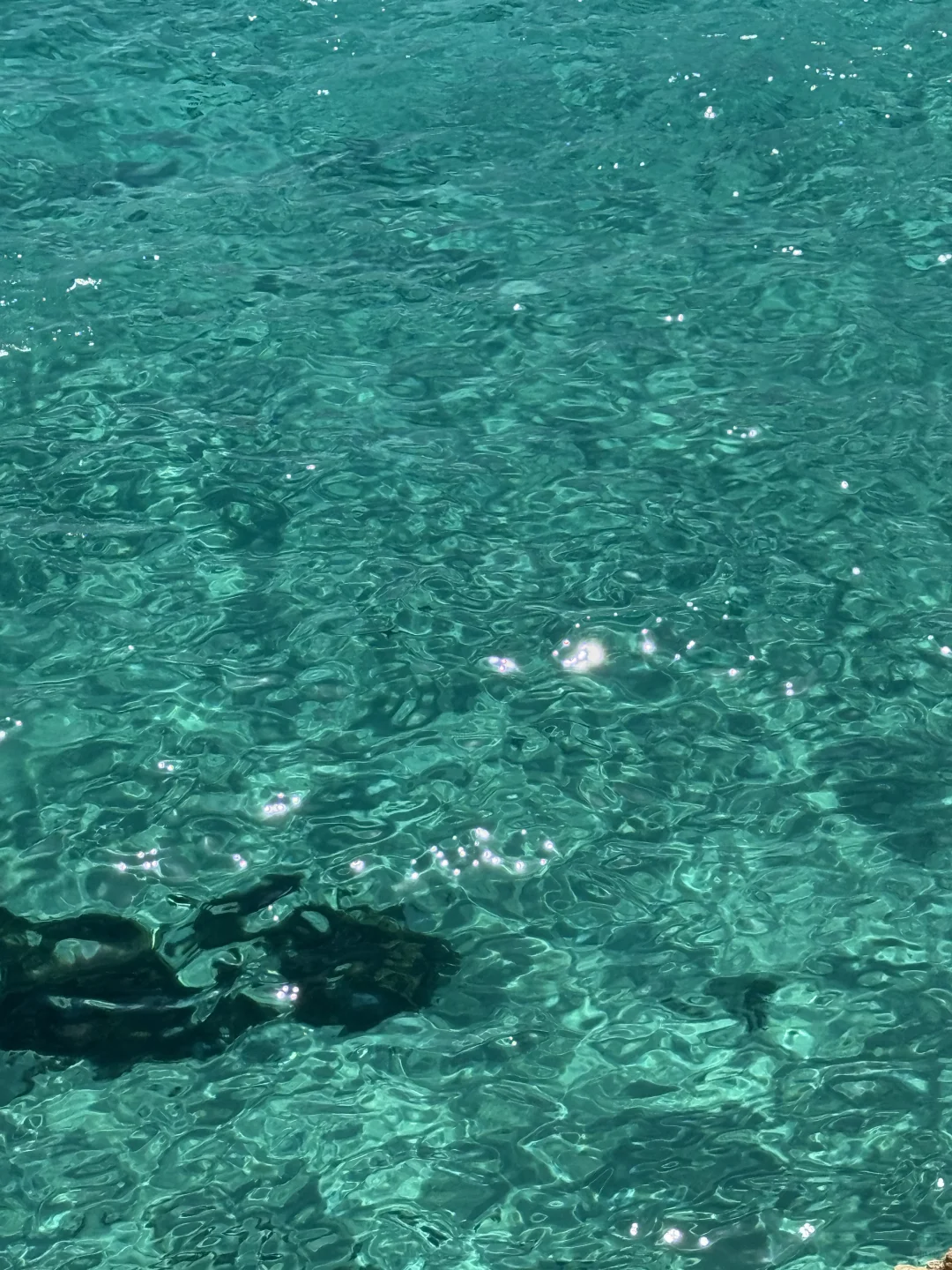 P不了一点的果冻海
