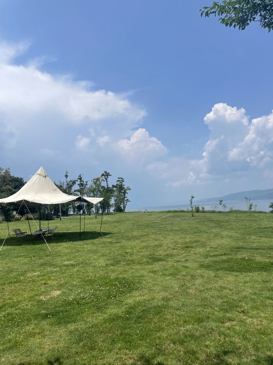 65万入住💐我愿意把这里称为避暑胜地🍃