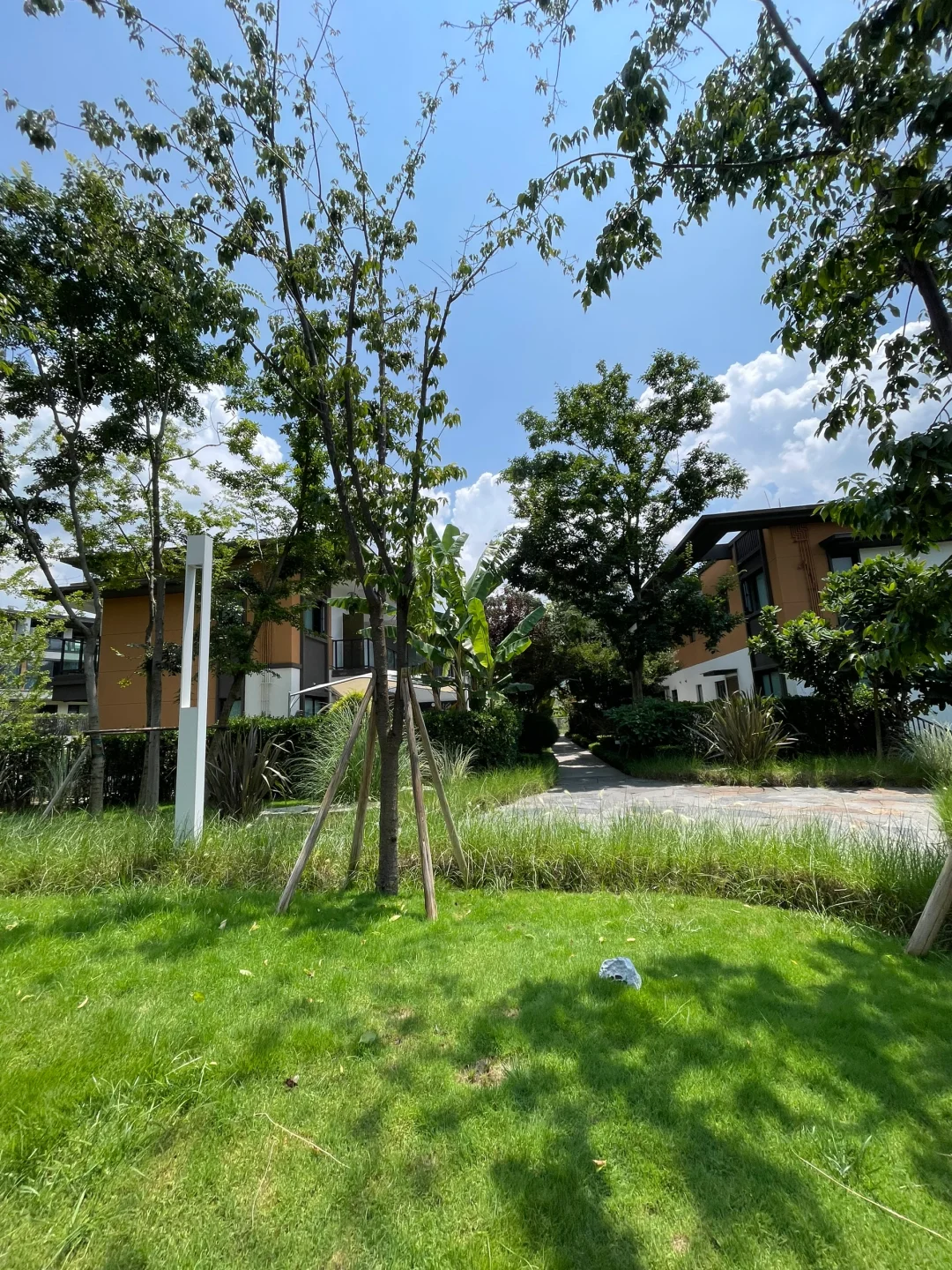 65万入住💐我愿意把这里称为避暑胜地🍃