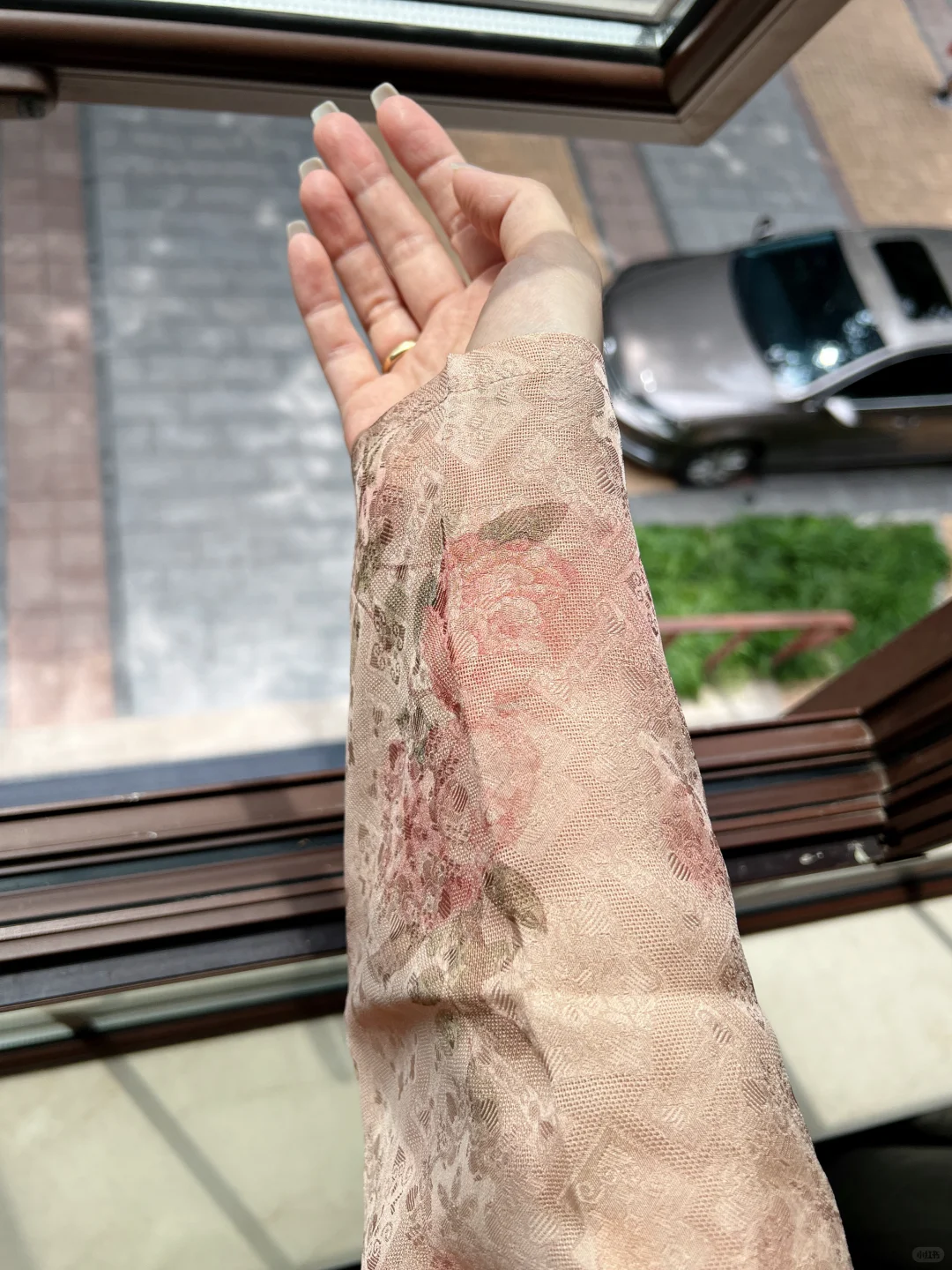 终究是驾驭不了你🌹娇艳的月季