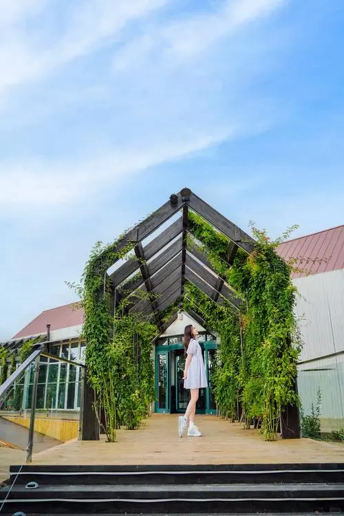 女头｜氛围感美女头像📷
