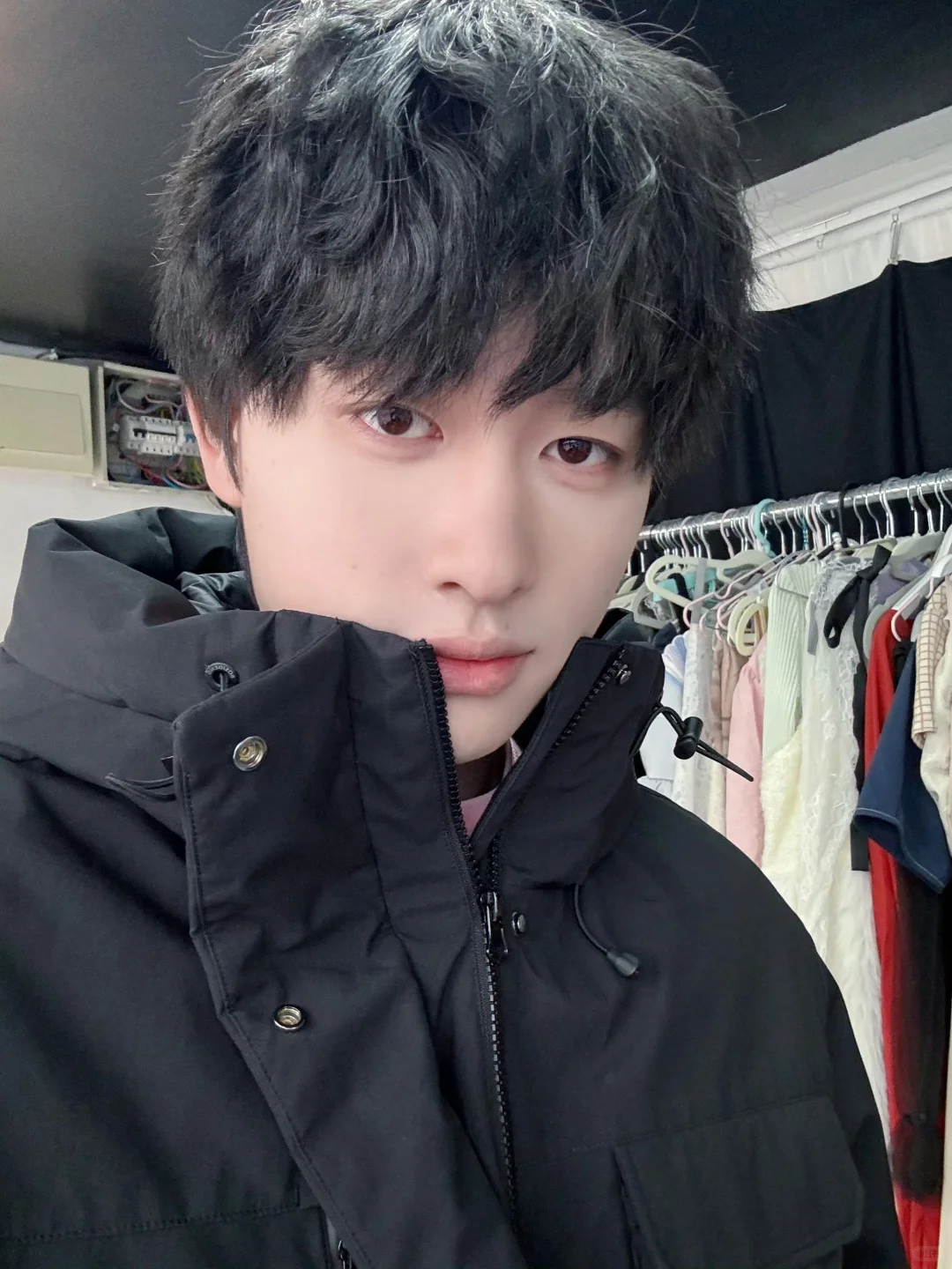国际小狗日，摸摸这只大狗狗
