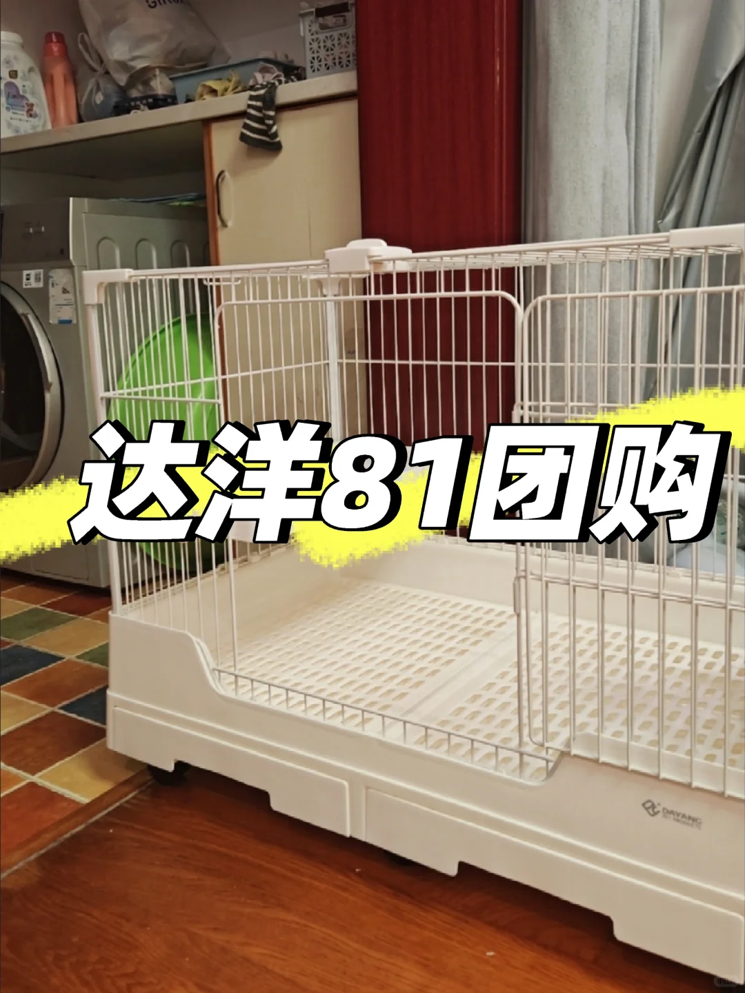 达洋R81兔笼带着宠生巅峰豪宅团购券杀疯啦