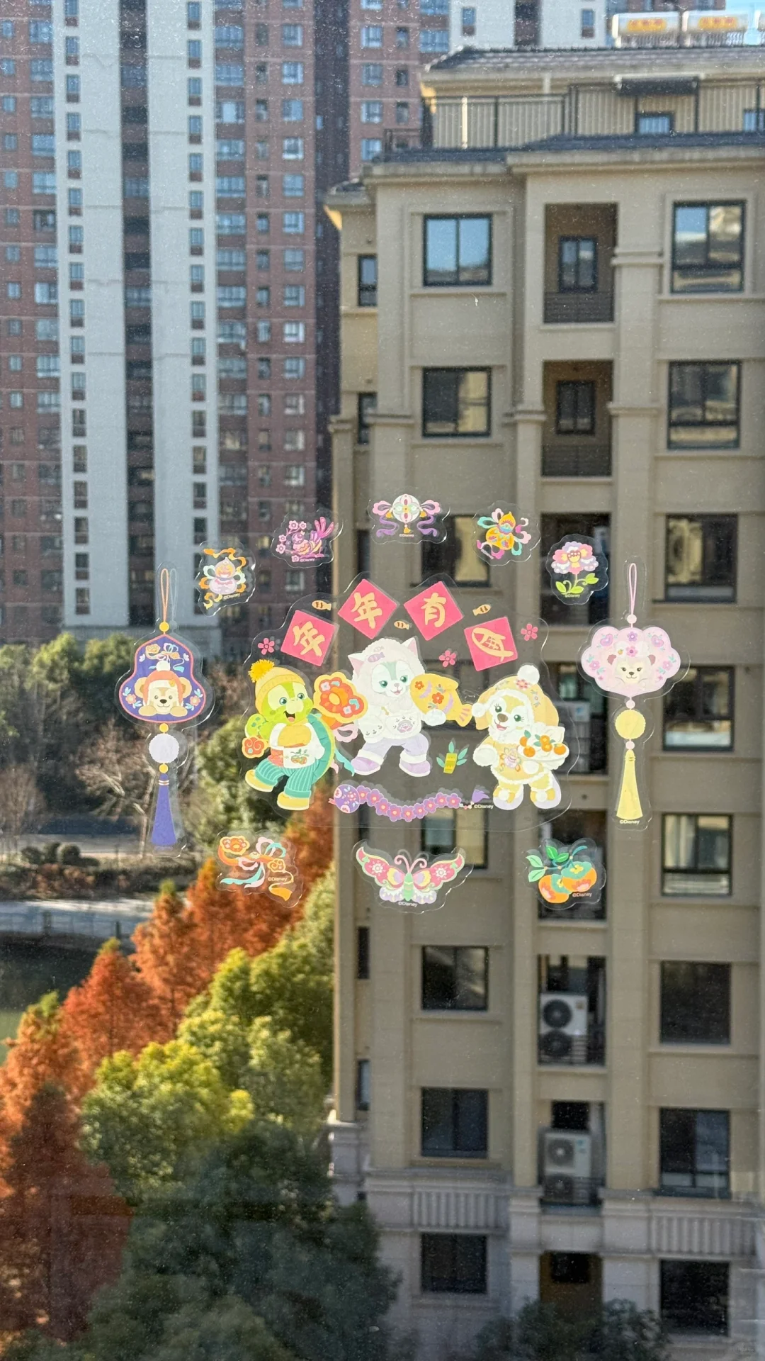 被爱慢慢填满的家🏠