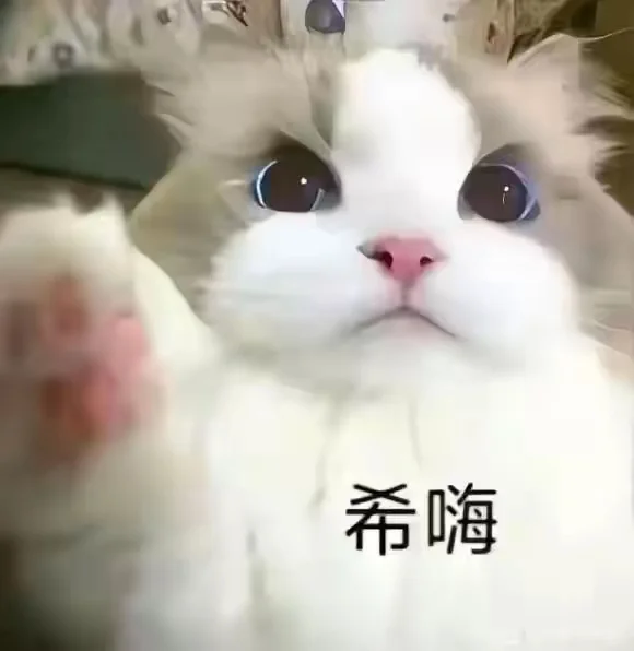 骚气满满啊