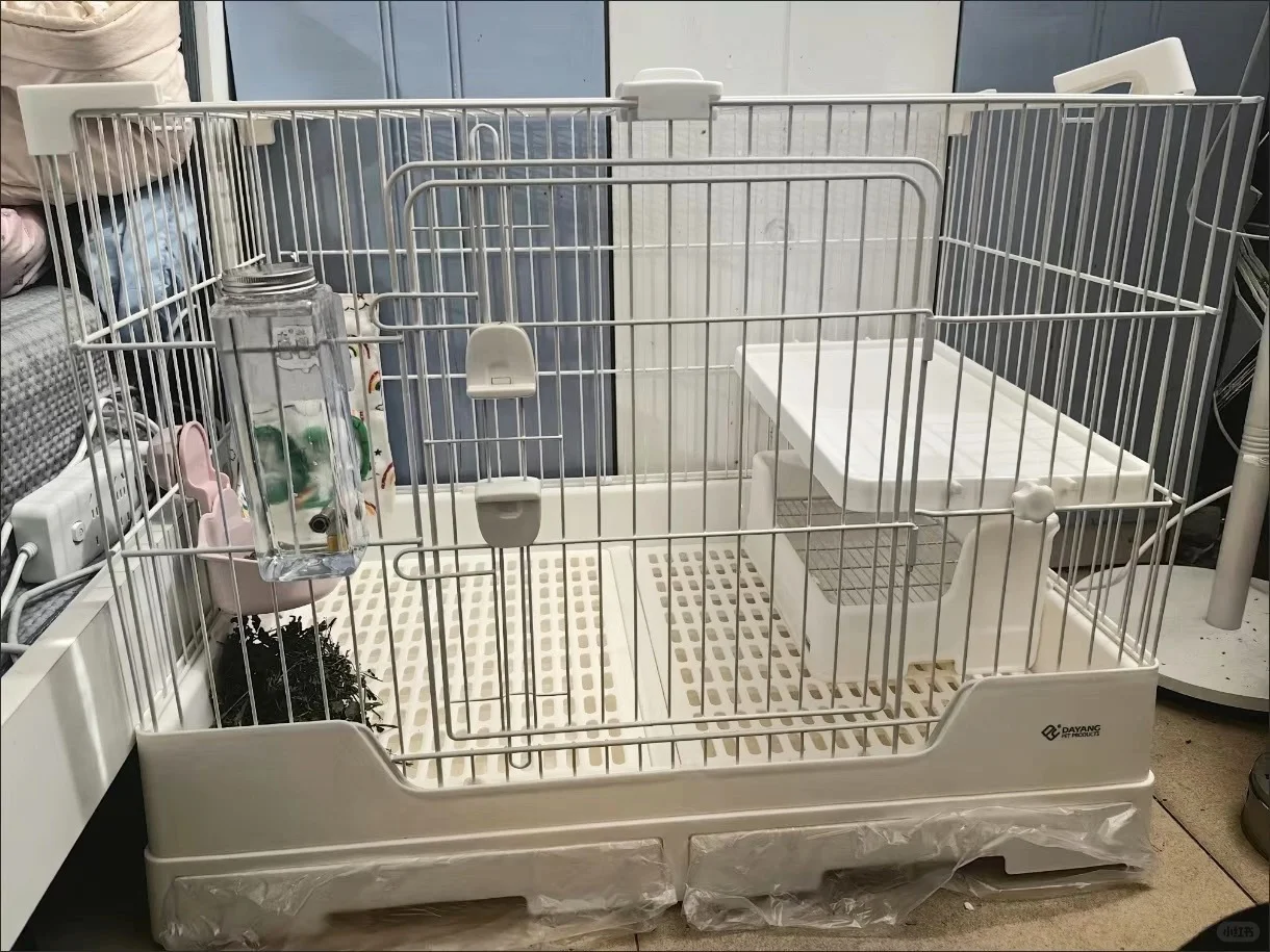 达洋R81兔笼带着宠生巅峰豪宅团购券杀疯啦