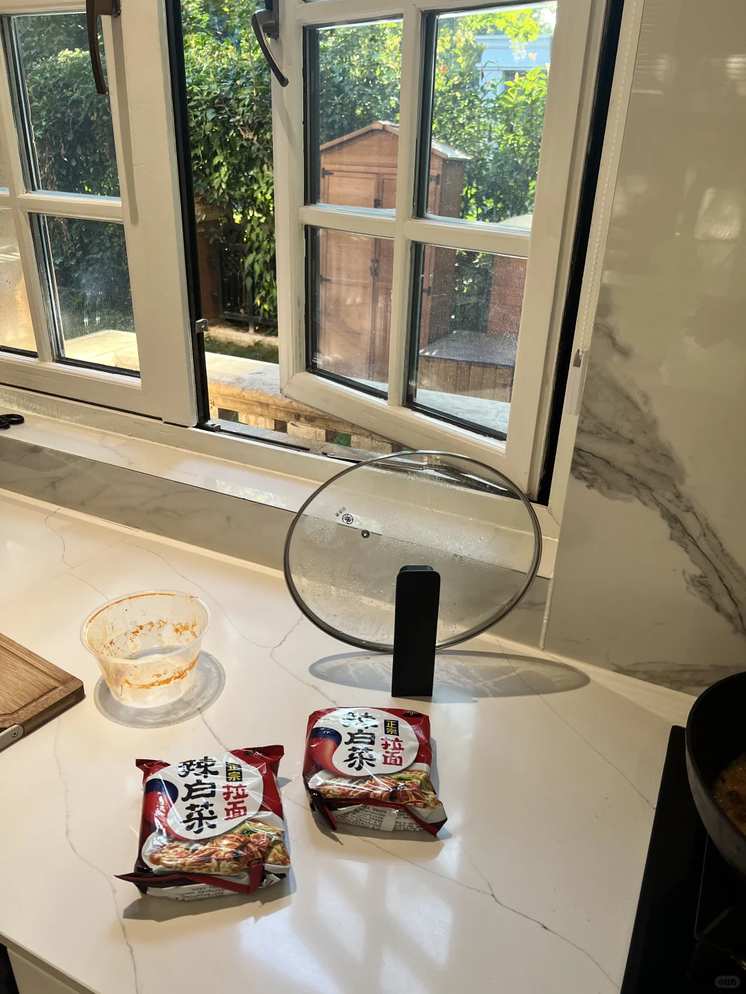 想念我的小边牧