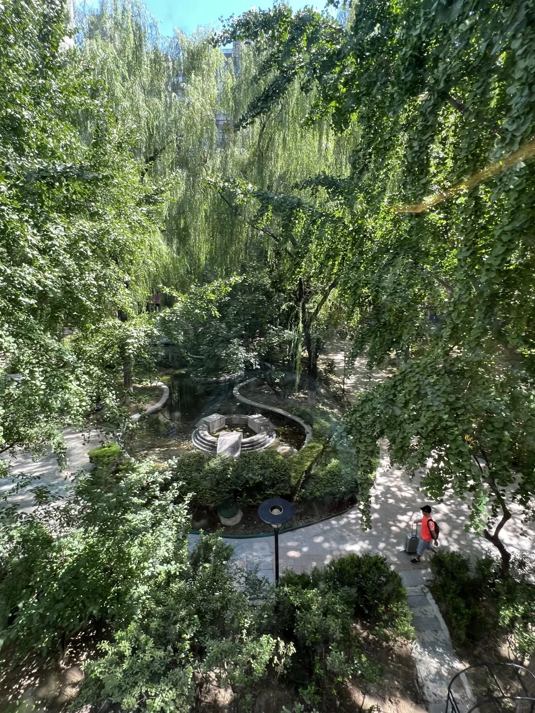 北京租房｜国贸双井两居全南 推窗见绿🏠💕动