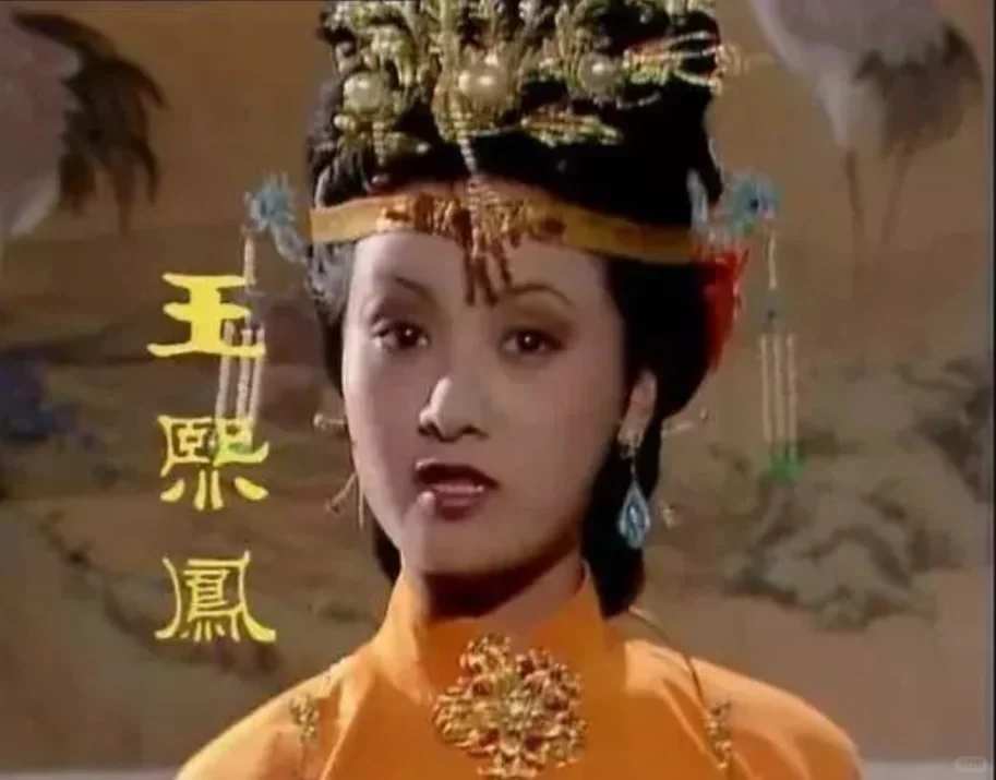 凤姐。