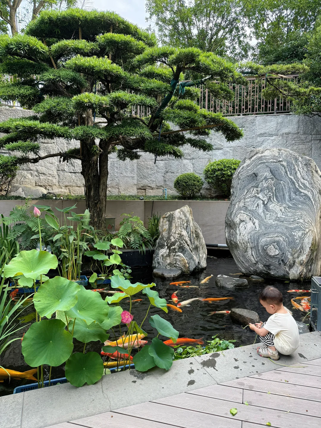 庭院深深 春色浓浓