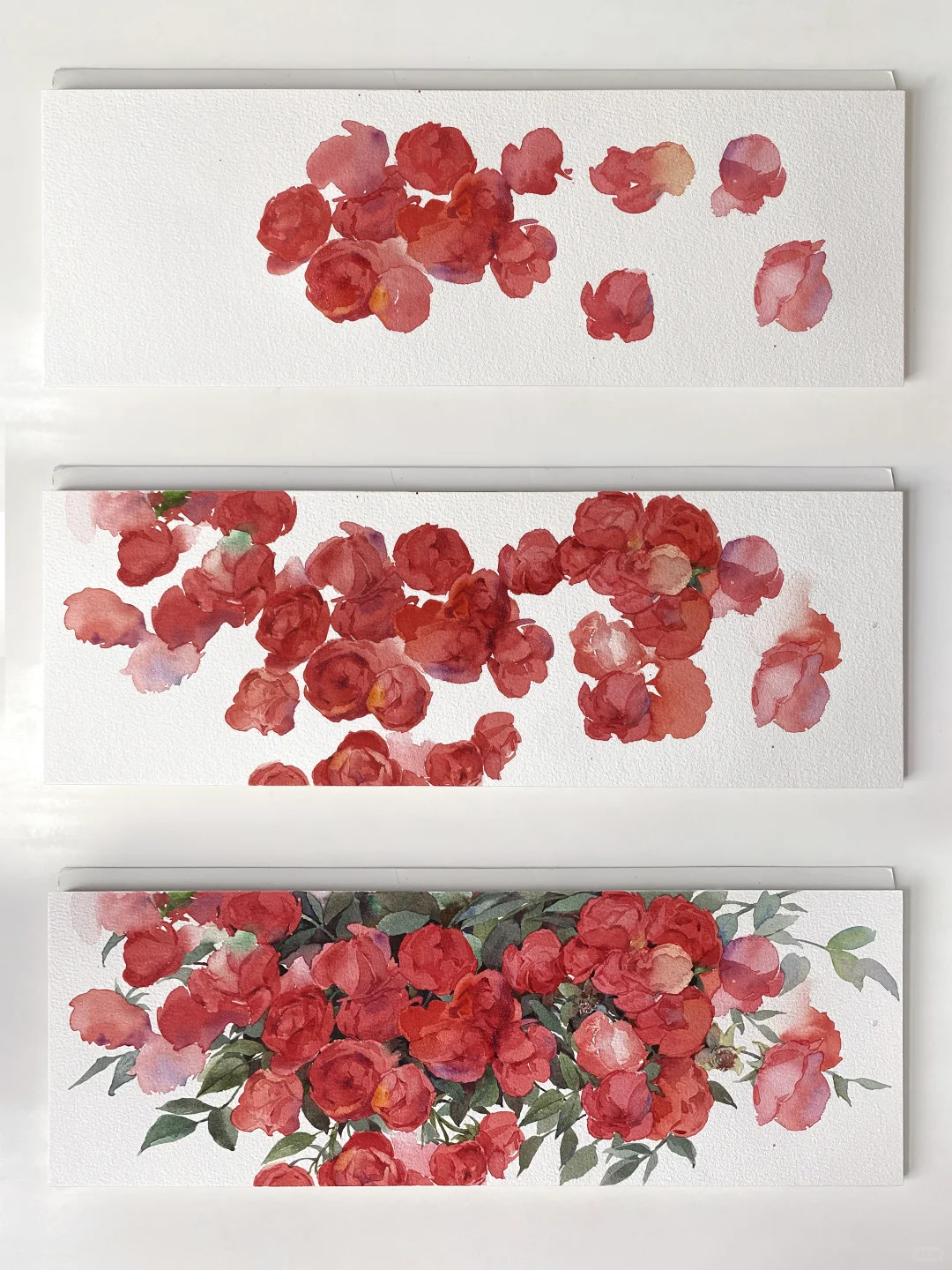 水彩花卉 | 娇艳欲滴的红木香❤️