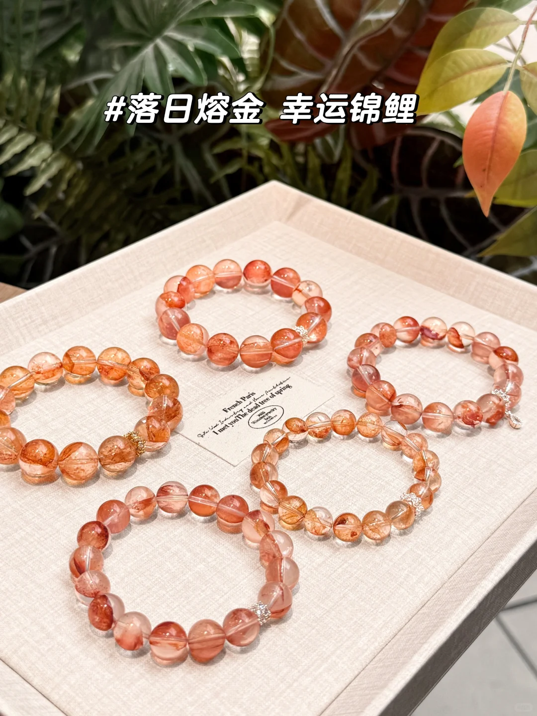明媚娇艳的胶花真的贵气感十足❗️