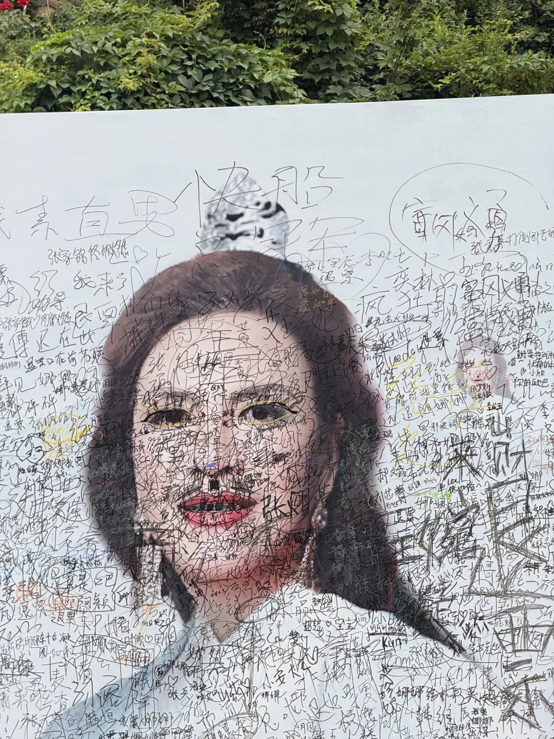 笑得不行了