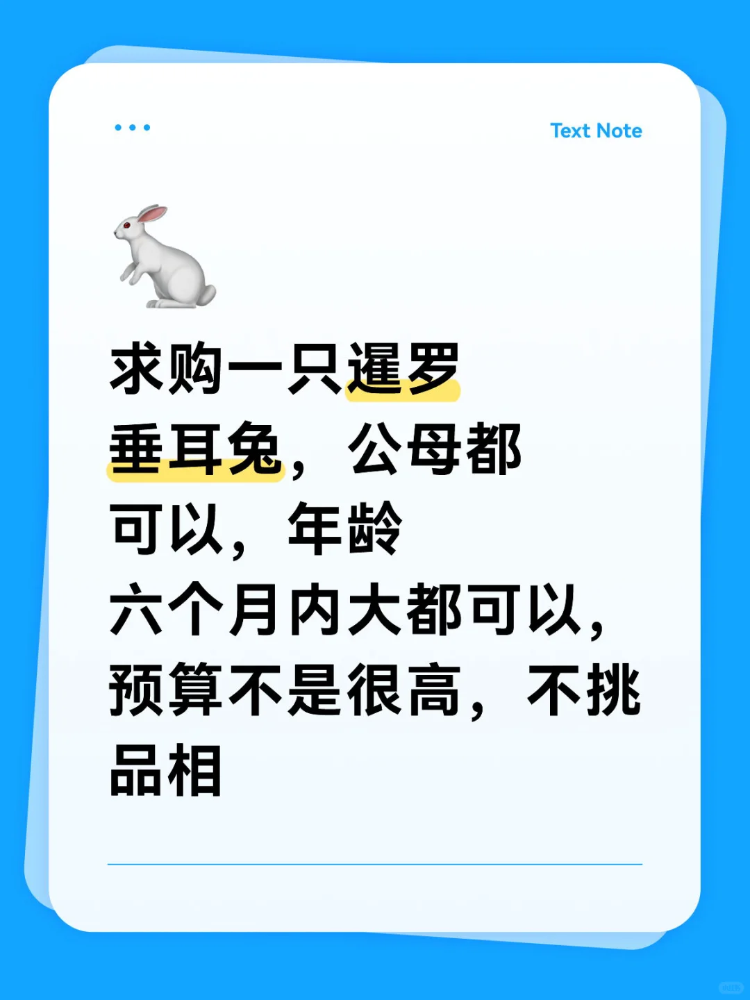 求购垂耳兔