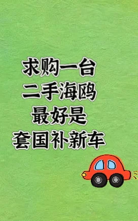 个人求购一台比亚迪海鸥