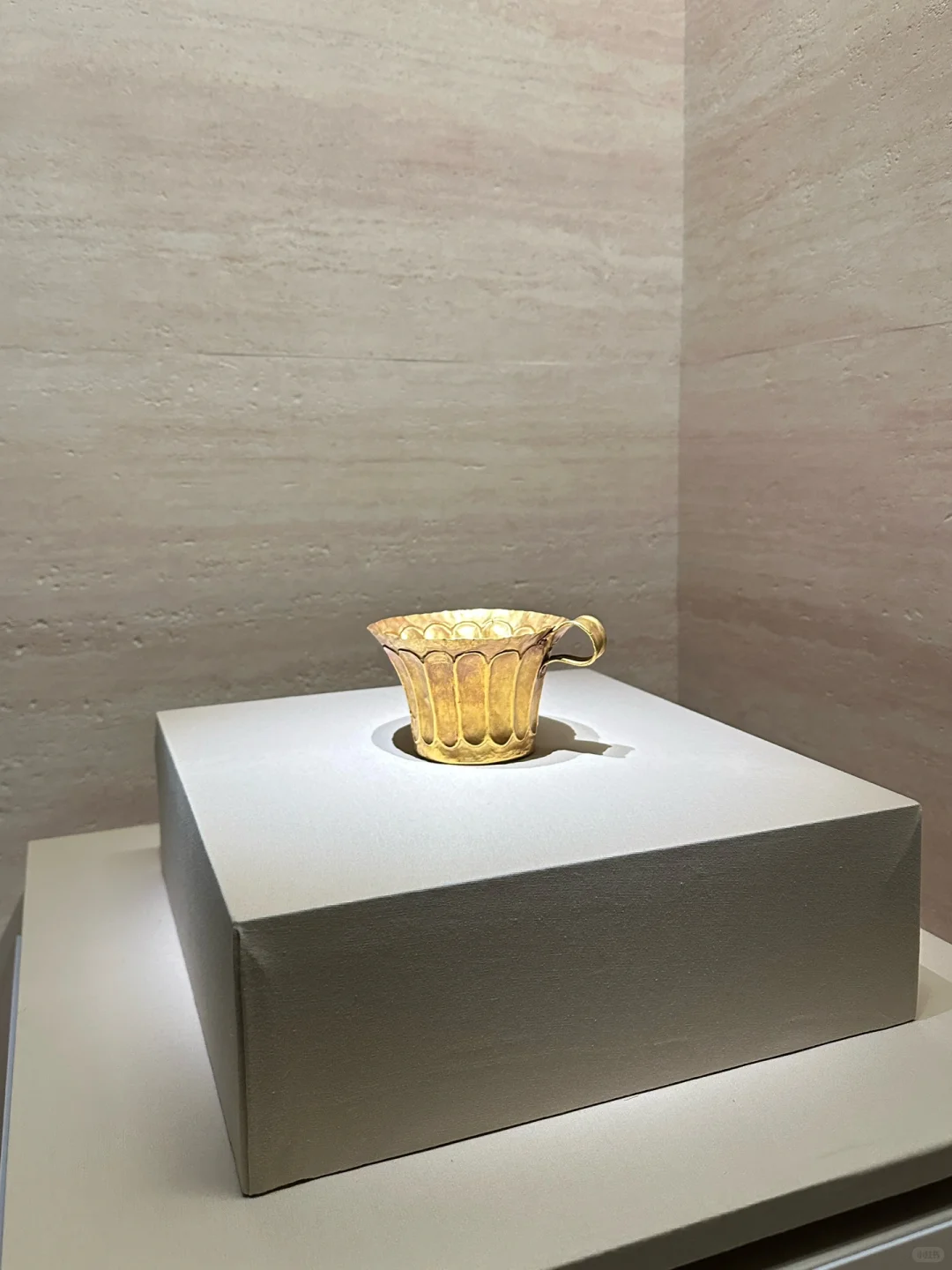 国博看展 美的多元