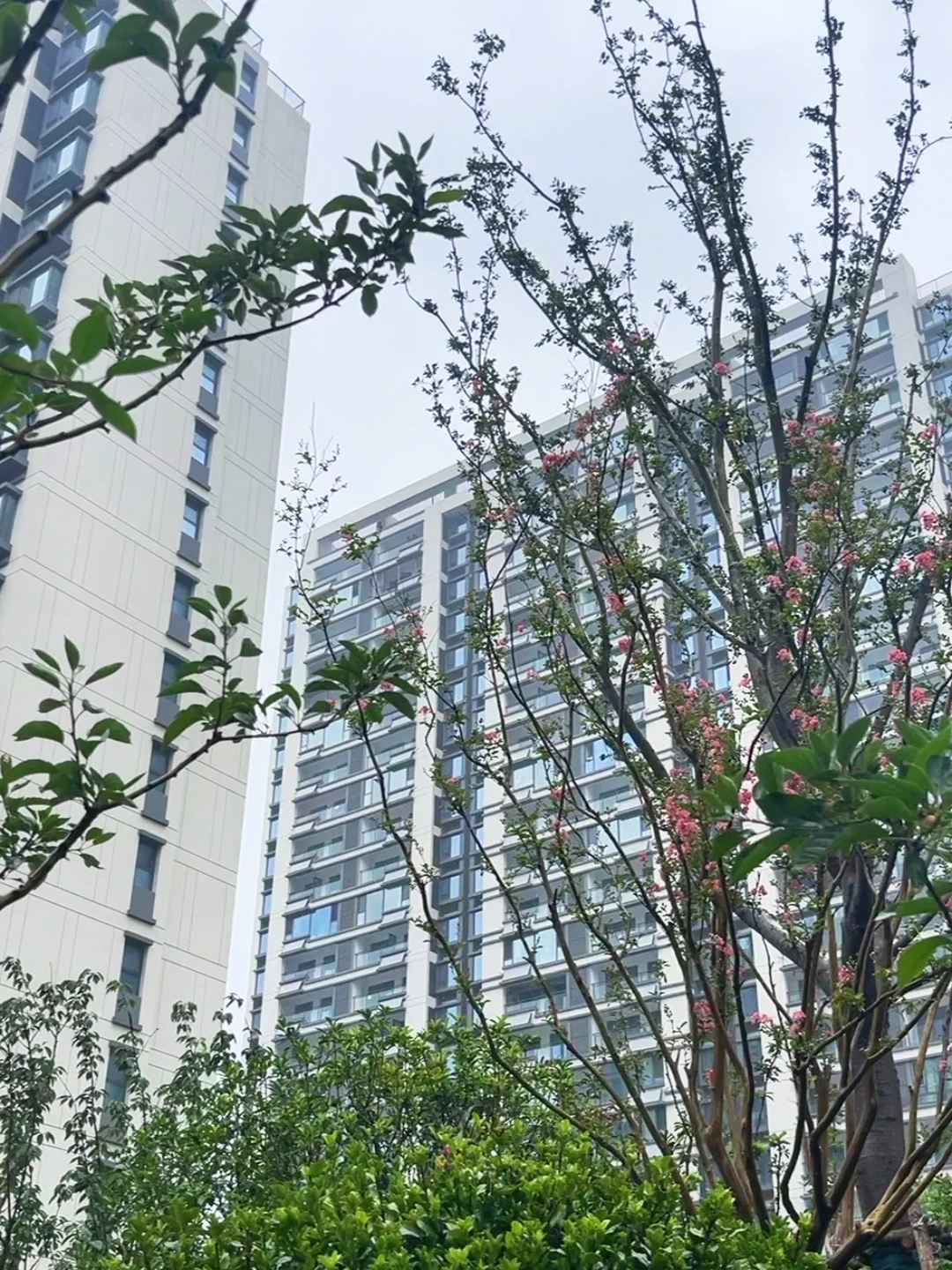 聊城宝藏小区 | 雨中实拍，小区花园也太美了