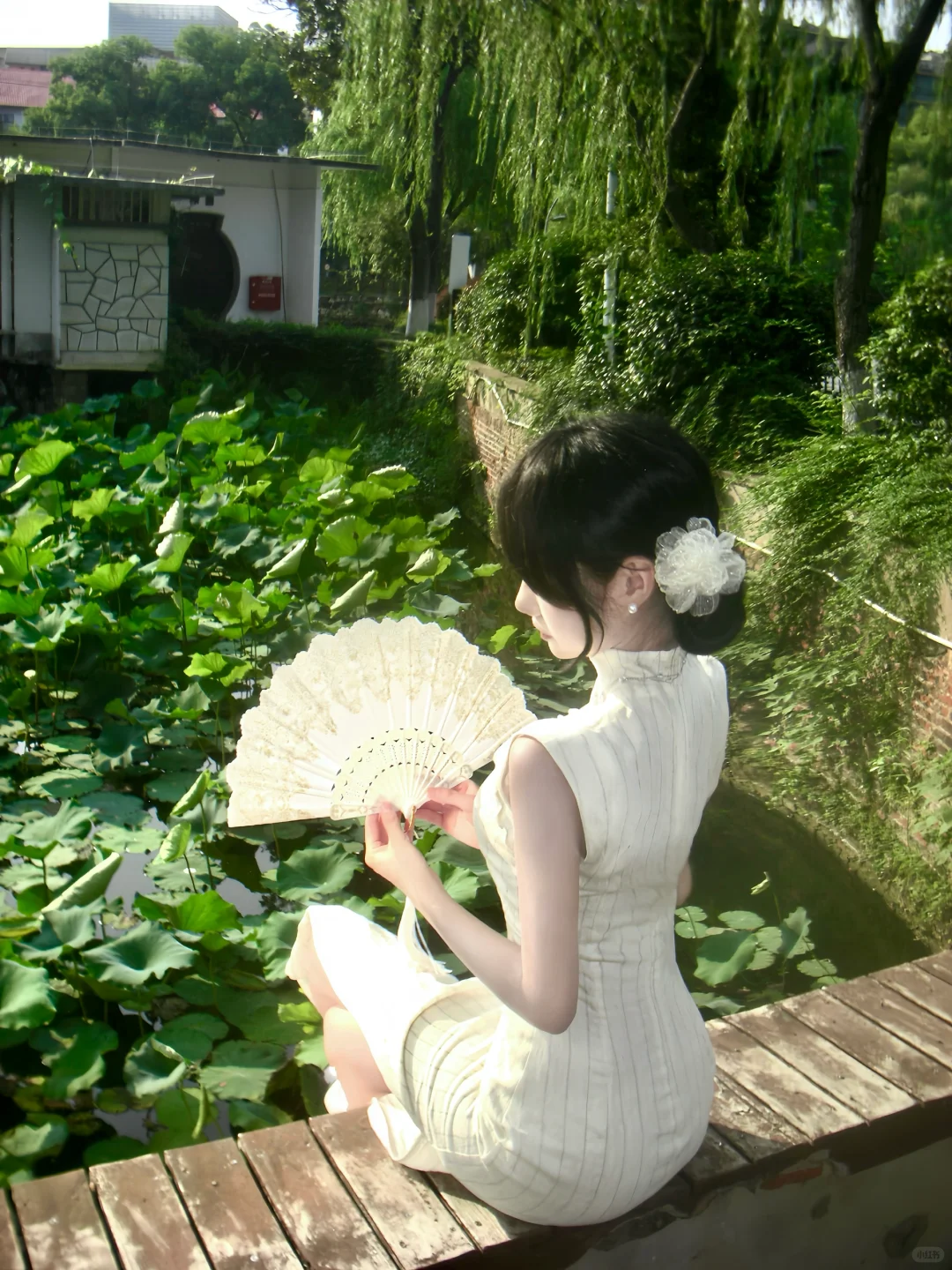 我见众生皆草木 唯有见你是青山
