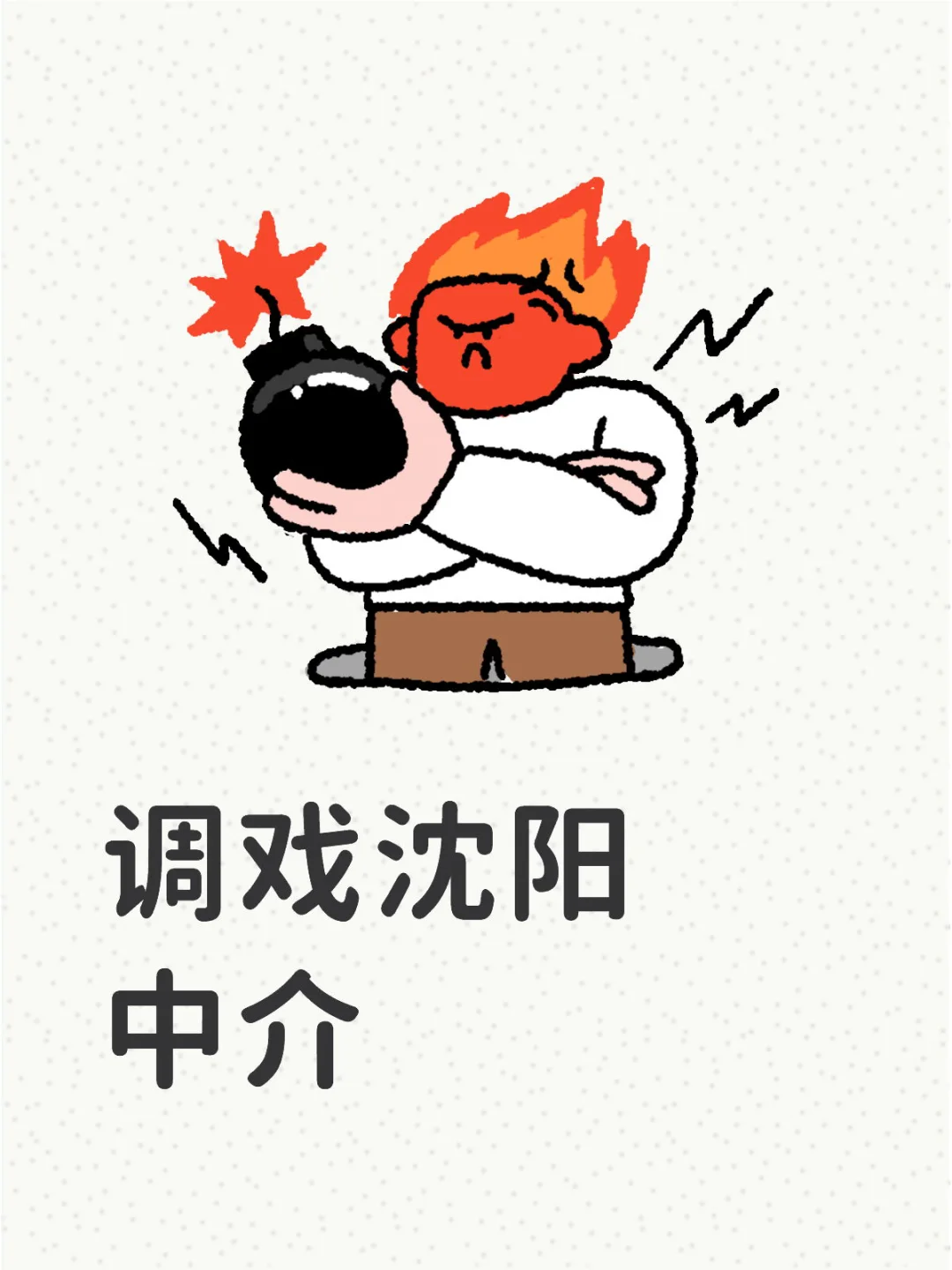 沈阳租房 调戏中介 很好