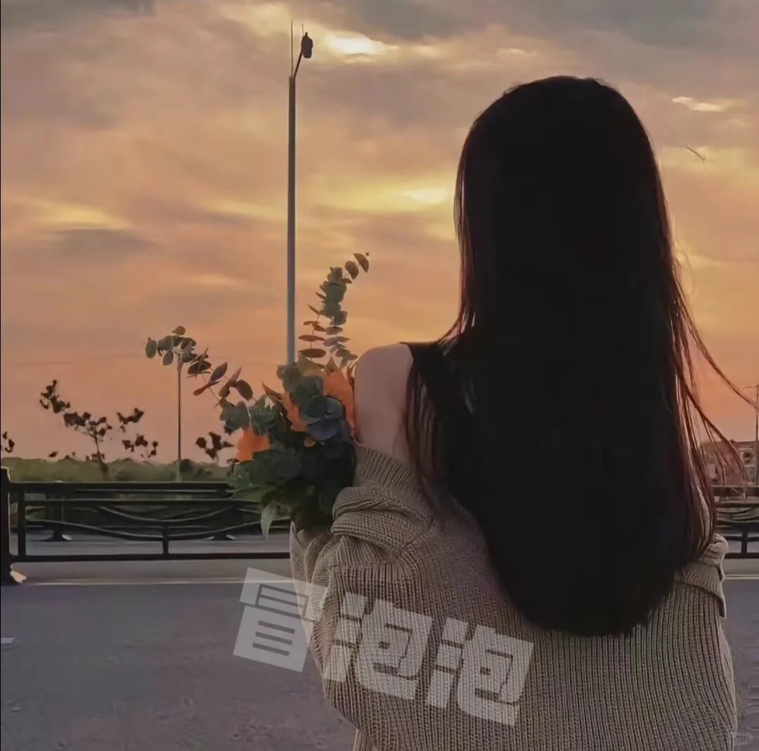 𝗪𝗲𝗖𝗵𝗮𝘁丨落日背影女头