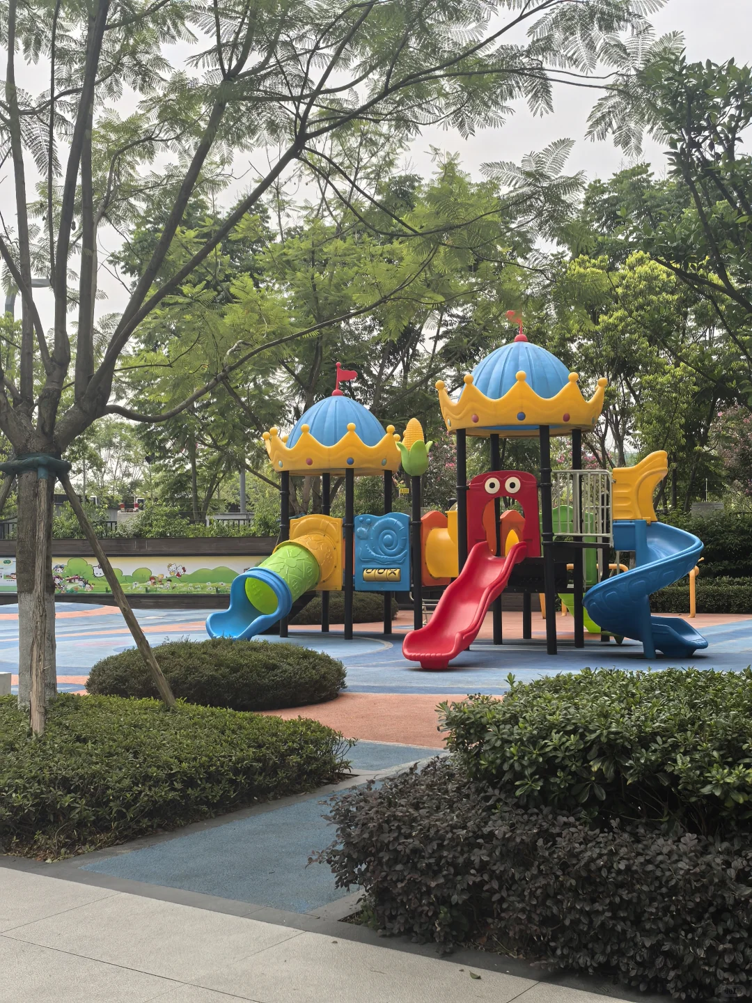 这里是理想中的小区？？？