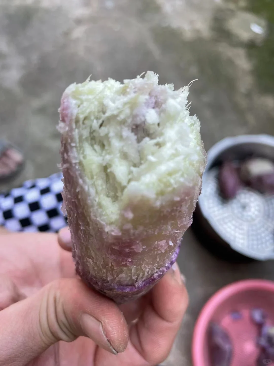 终于找到这款又粉又香的红薯了！