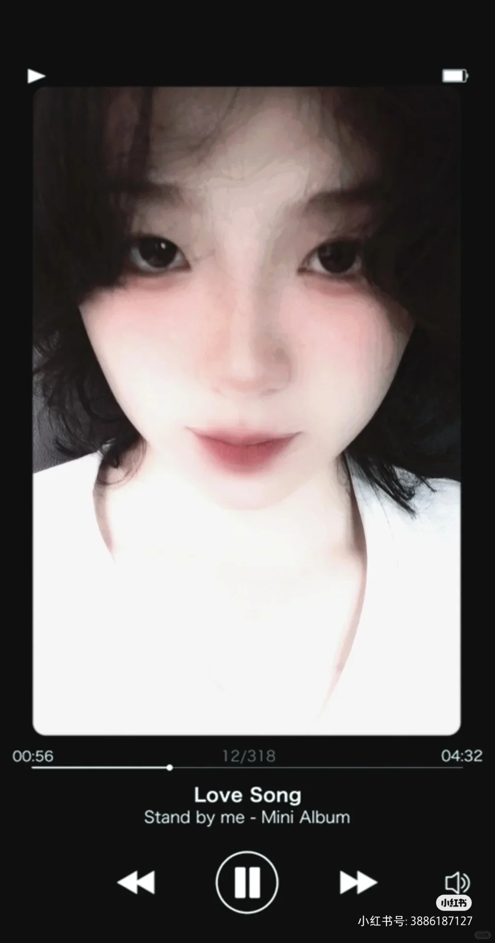 都来露脸吧