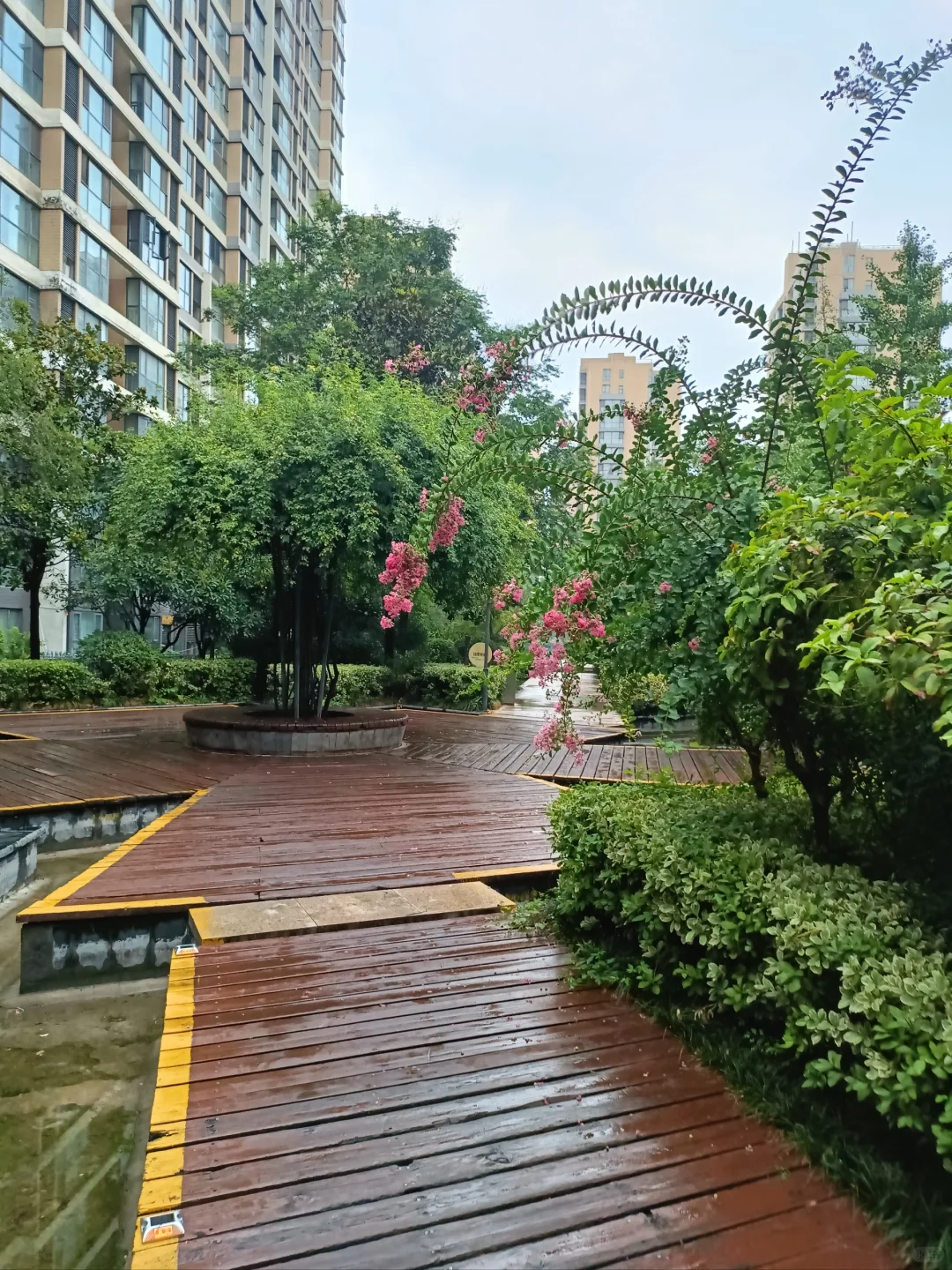 看到北京楼市新政，我心慌了