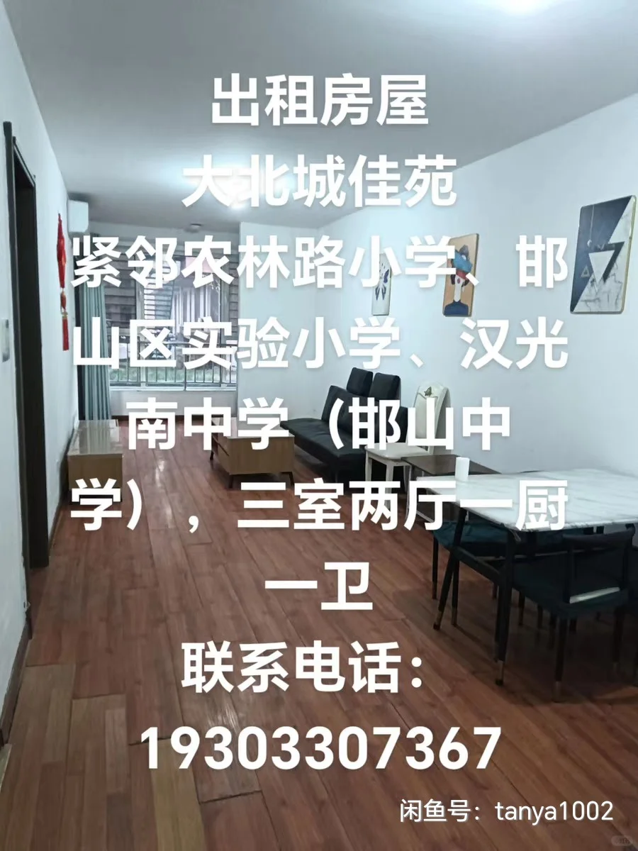 租房！租房！租房！🏡