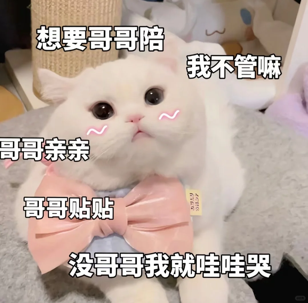 🔥「撩拨感」拿捏死死的