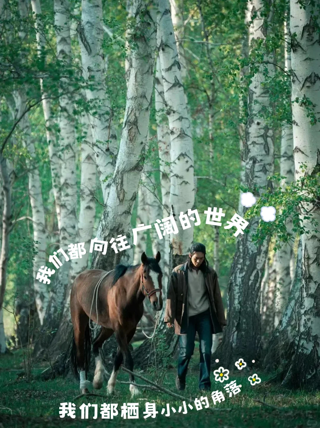 好想在我的阿勒泰里睡懒觉！她的文字也好绝