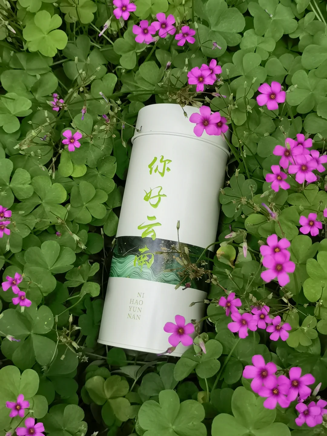 来云南出差，超适合带回去送同事的伴手礼