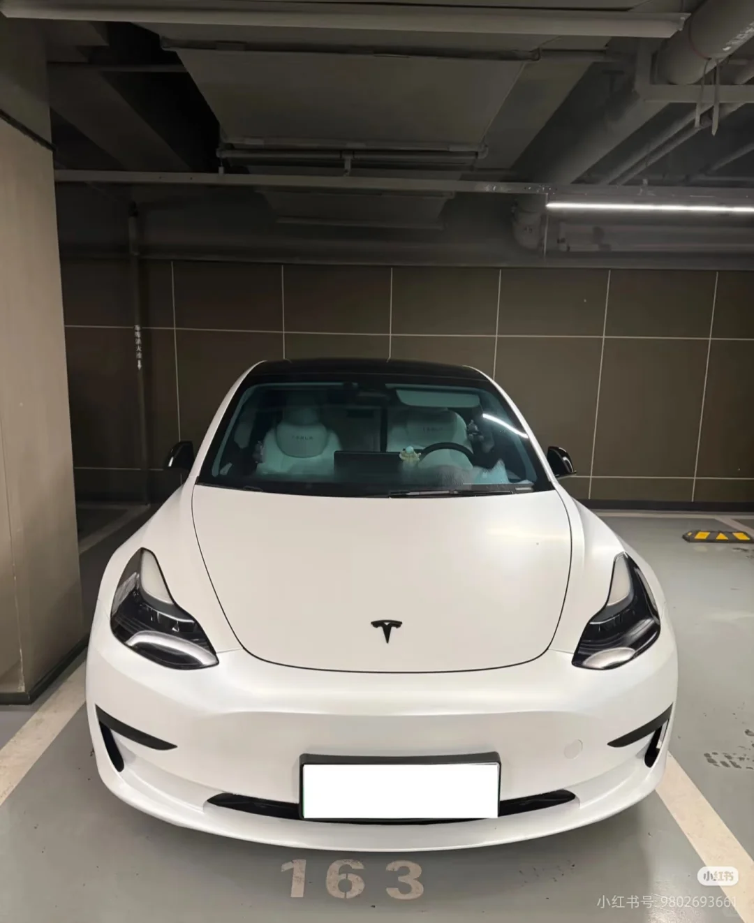 求购2019款 model3长续航