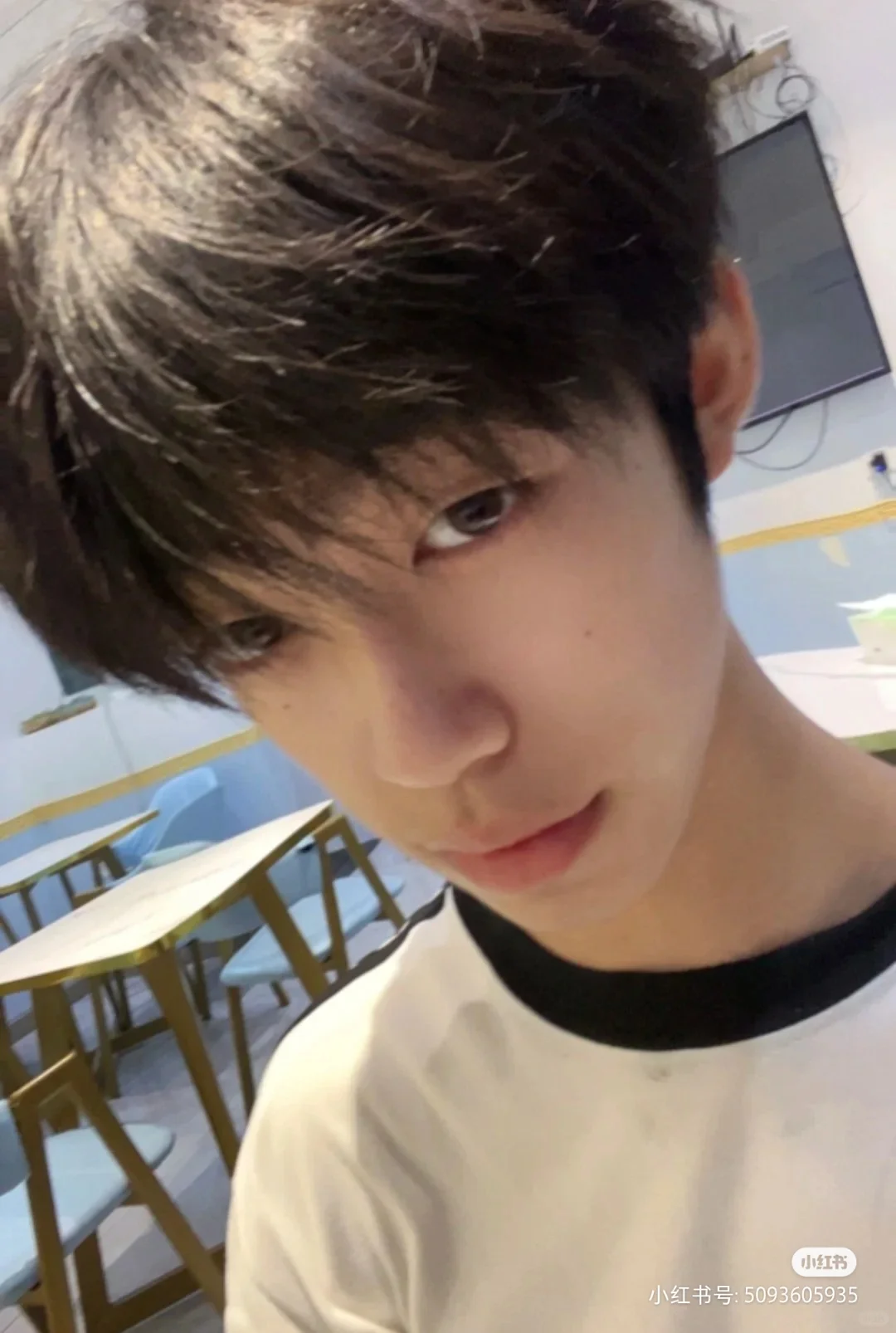 都来露脸吧